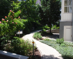 Garten in Bratislava